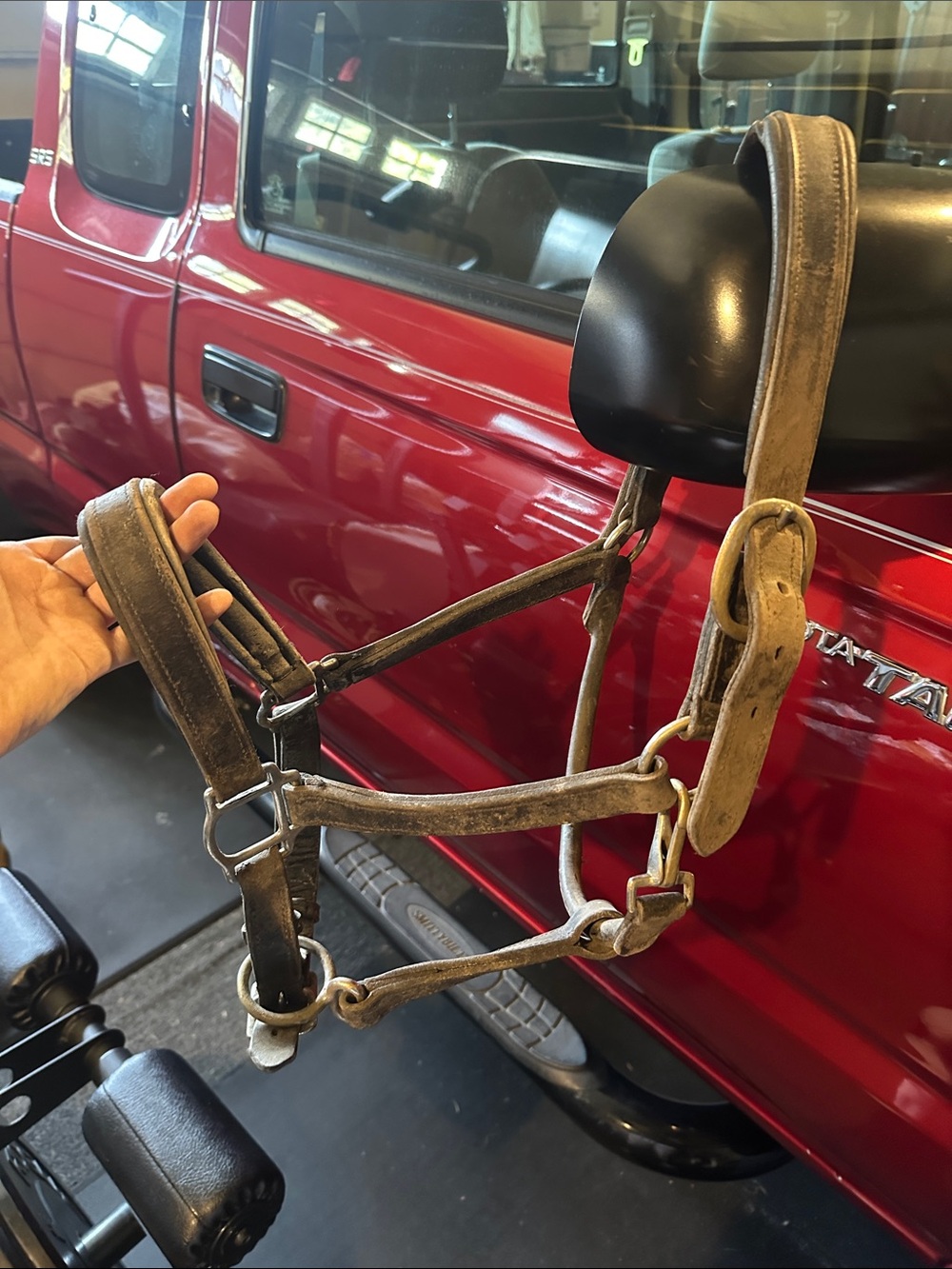 Leather Horse Halter